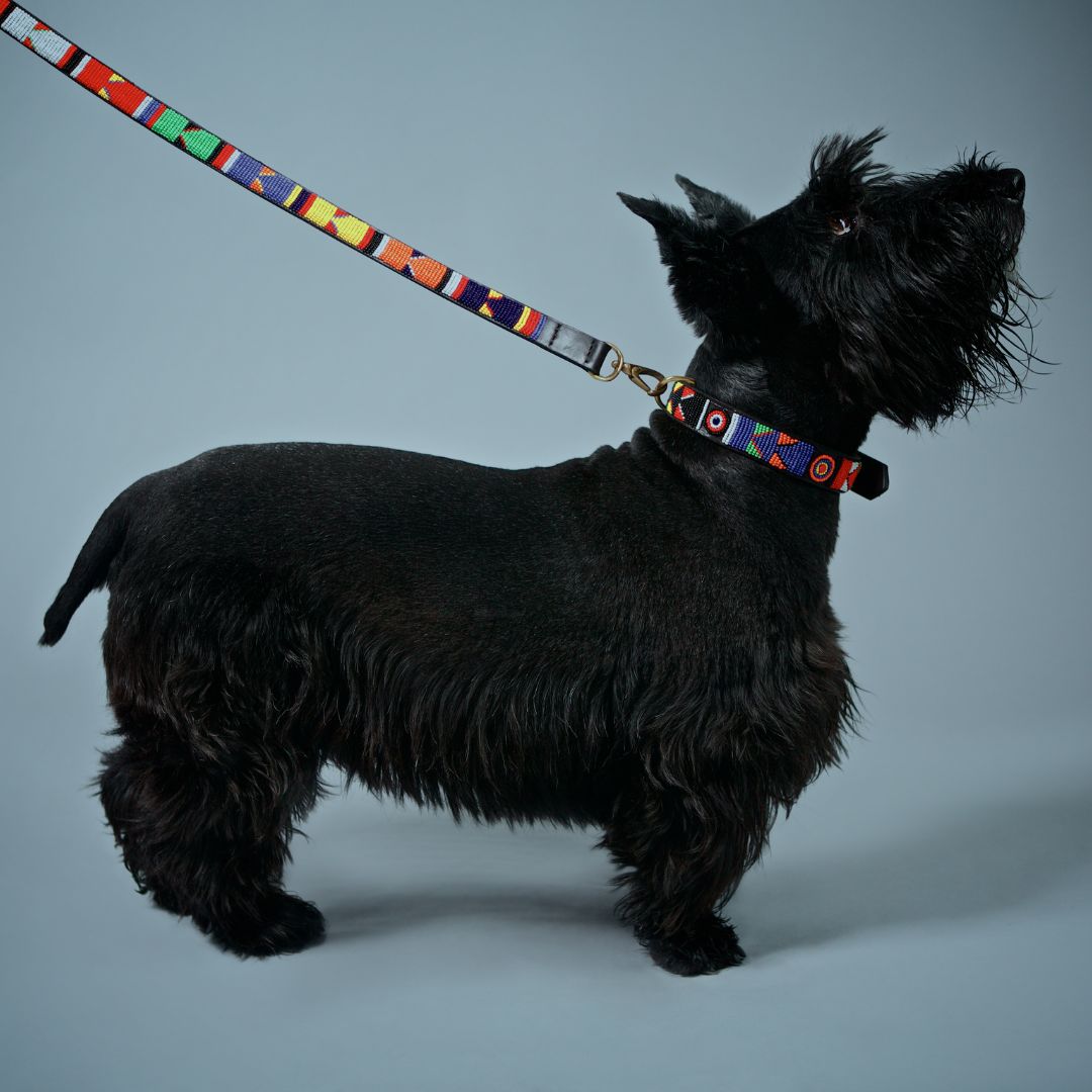 Beaded Dog Leash