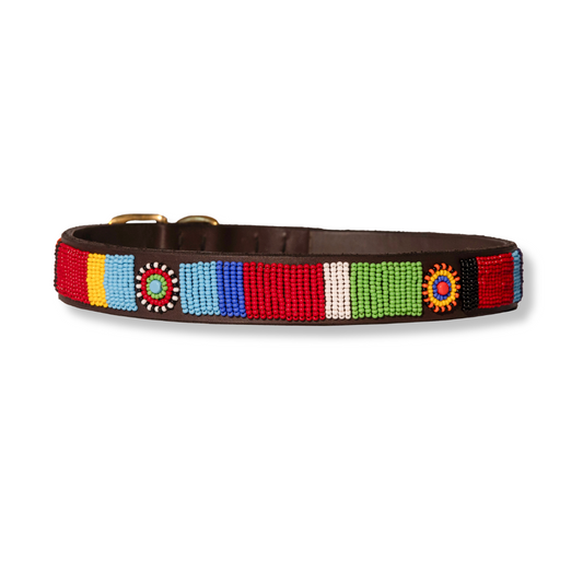 Oscars Dog Collar