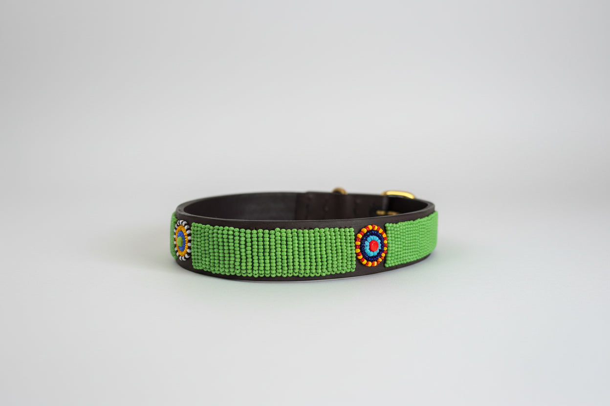 Green beaded dog collar with decorative disc piece on a white surface
