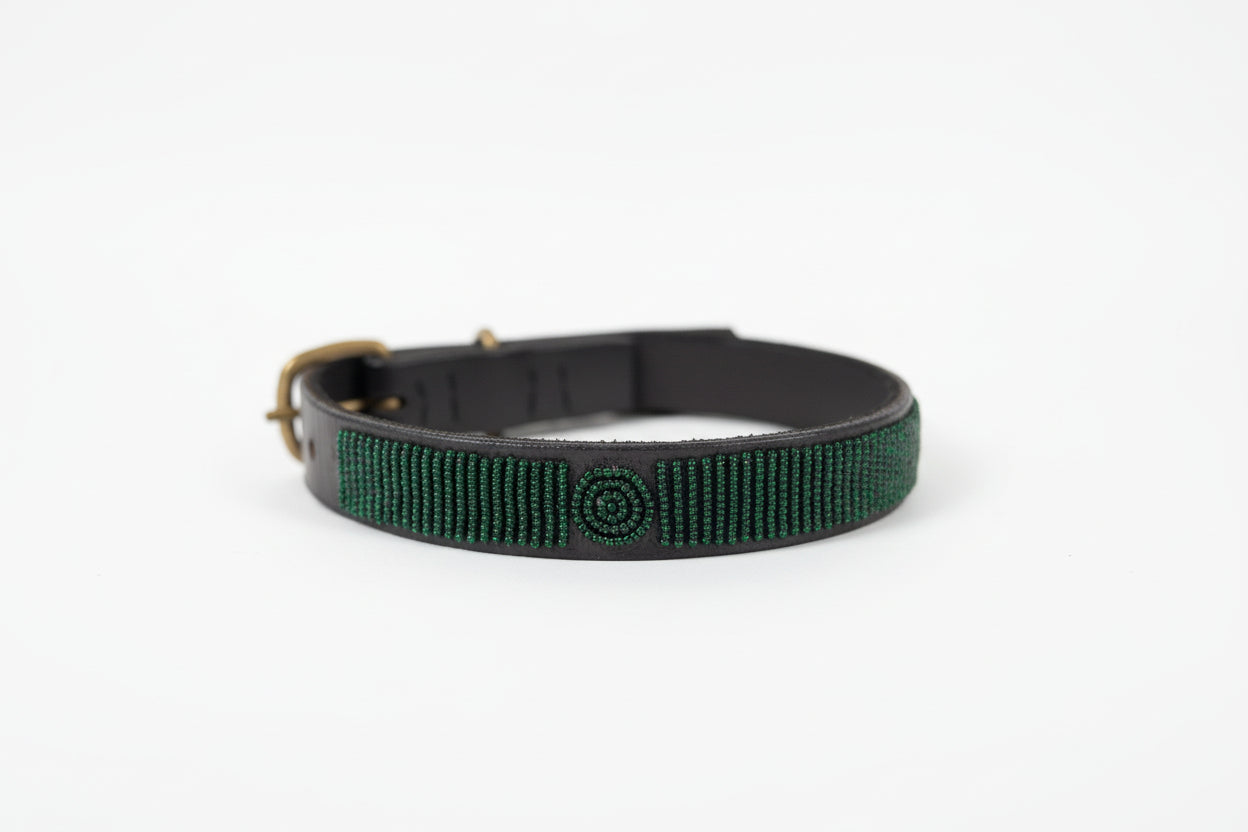 Dog Collar - Solid With Discs