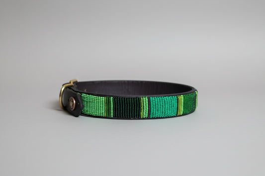 Green and dark green dog collar on a gray background